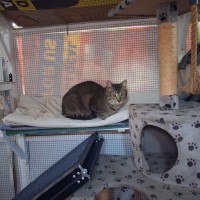 Photo of Bob ** The Most Affectionate Boy **
