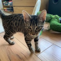 Photo of 💛Pinto And Mirabelle🩷