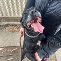 Photo of Tess