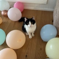 Photo of Floof