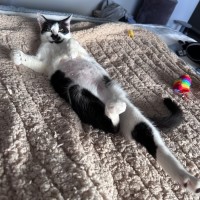 Photo of Gracey 💗