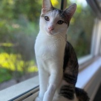 Photo of Murphy