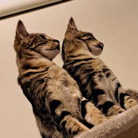 Photo of Ginge & Sprout