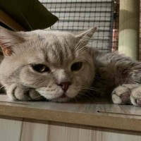 Photo of Professor Chaos