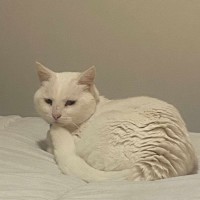 Photo of 🩵🤍Indiana Jones🤍🩵