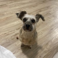 Photo of Rogue