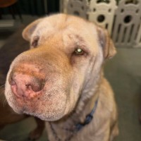 Photo of Ella & Angel