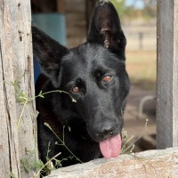 Photo of Storm