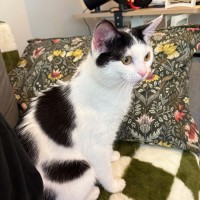 Photo of Gus