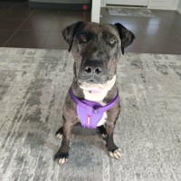Photo of Freya