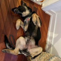 Photo of Raider