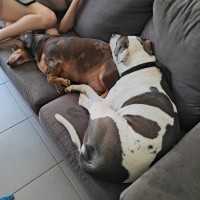 Photo of Pebbles & Mellow