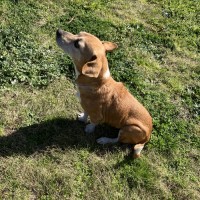 Photo of Lexi