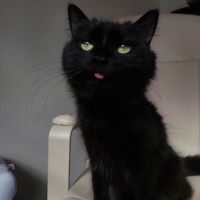 Photo of Eclipse 🖤