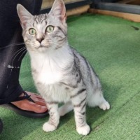 Photo of Tina