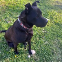 Photo of Dj
