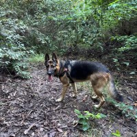 Photo of Max