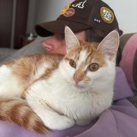 Photo of Apricot 🧡