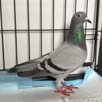 Photo of Mariette 