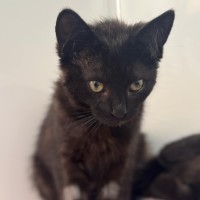 Photo of Betty   In Foster Care In Ashburton