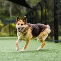 Photo of Maya