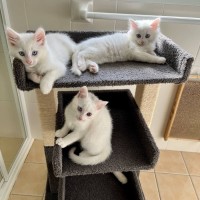 Photo of 🧸 Jesse 🧸