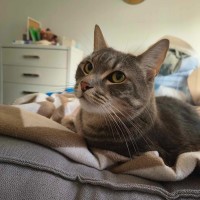 Photo of Tex