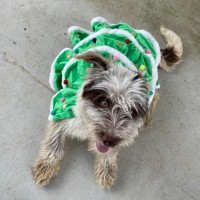 Photo of Bentley