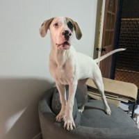 Photo of Meg