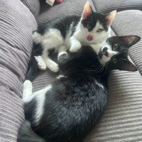 Photo of Parkway And James Bond 🥰