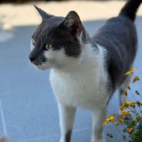 Photo of Bobby