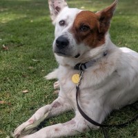Photo of Paquito