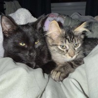 Photo of Shadow 😍😍😍