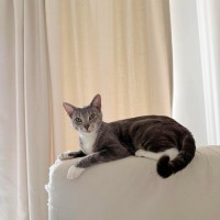 Photo of Aaliyah
