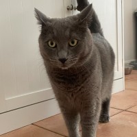 Photo of Catmandu