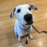 Photo of Casper 