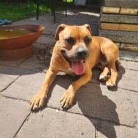 Photo of Murphy