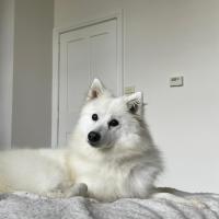 Photo of Bella 