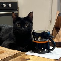 Photo of Ralph