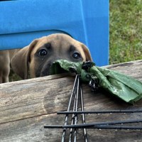Photo of ⛰️ Coromandel's Litter (Part 1) ⛰️
