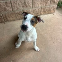 Photo of Harley