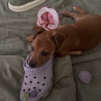 Photo of Isabel