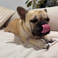 Photo of Buster