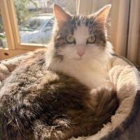 Photo of Bonita