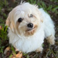 Photo of Mia