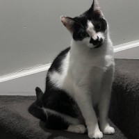 Photo of Gracey 💗