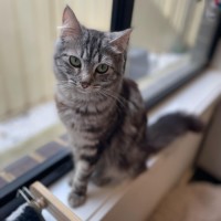 Photo of Megan