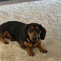 Photo of Augie