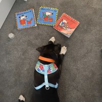 Photo of Billie Piper