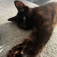 Photo of Tater